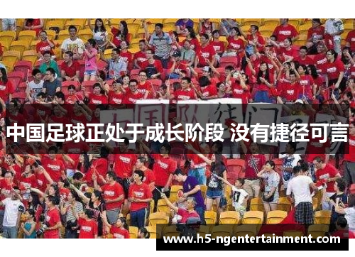 中国足球正处于成长阶段 没有捷径可言 中国足球正处于成长阶段 没有捷径可言