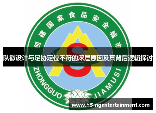 队徽设计与足协定位不符的深层原因及其背后逻辑探讨