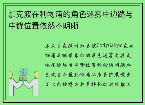 加克波在利物浦的角色迷雾中边路与中锋位置依然不明晰 加克波在利物浦的角色迷雾中边路与中锋位置依然不明晰